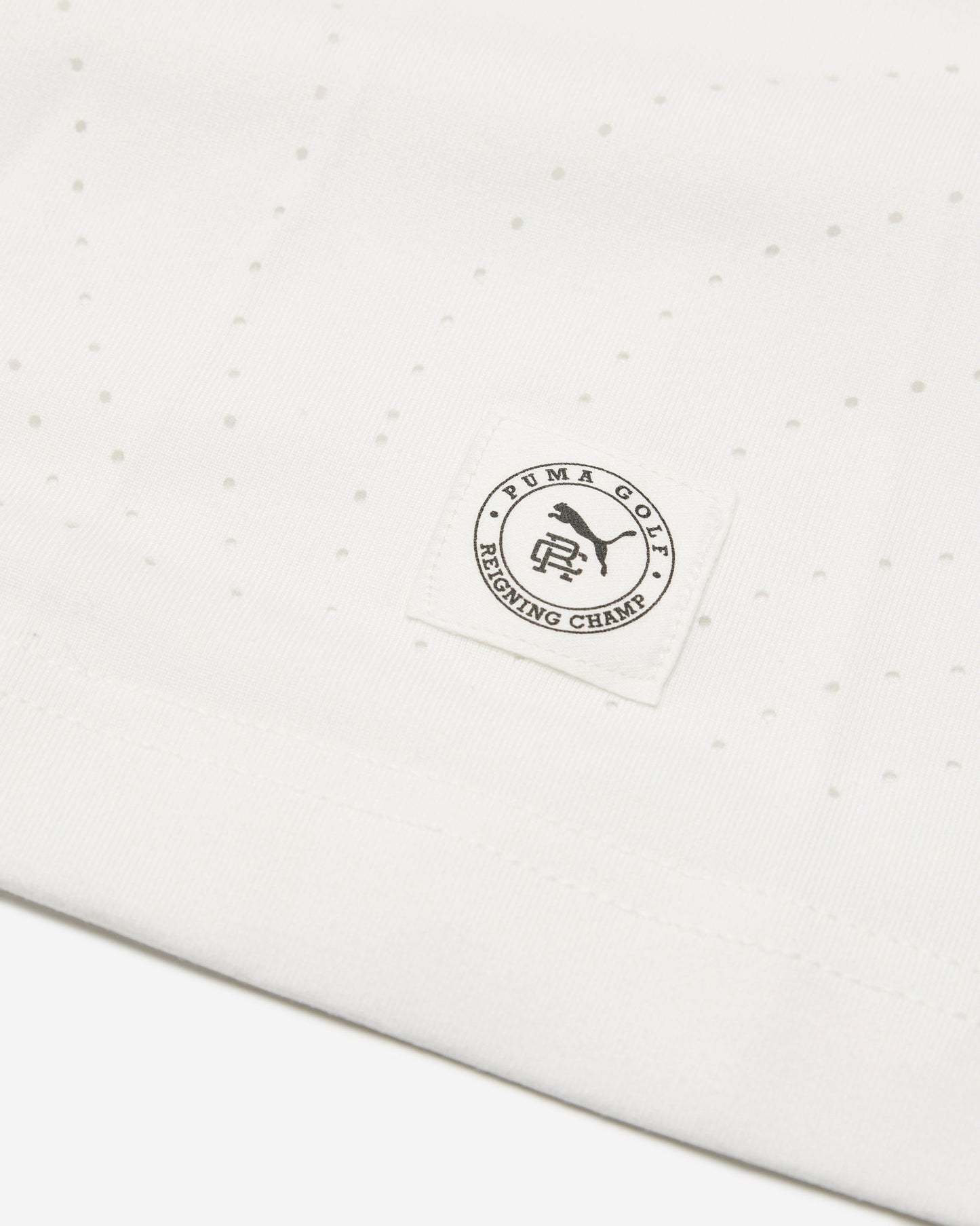 Puma X Reigning Champ Training T-Shirt