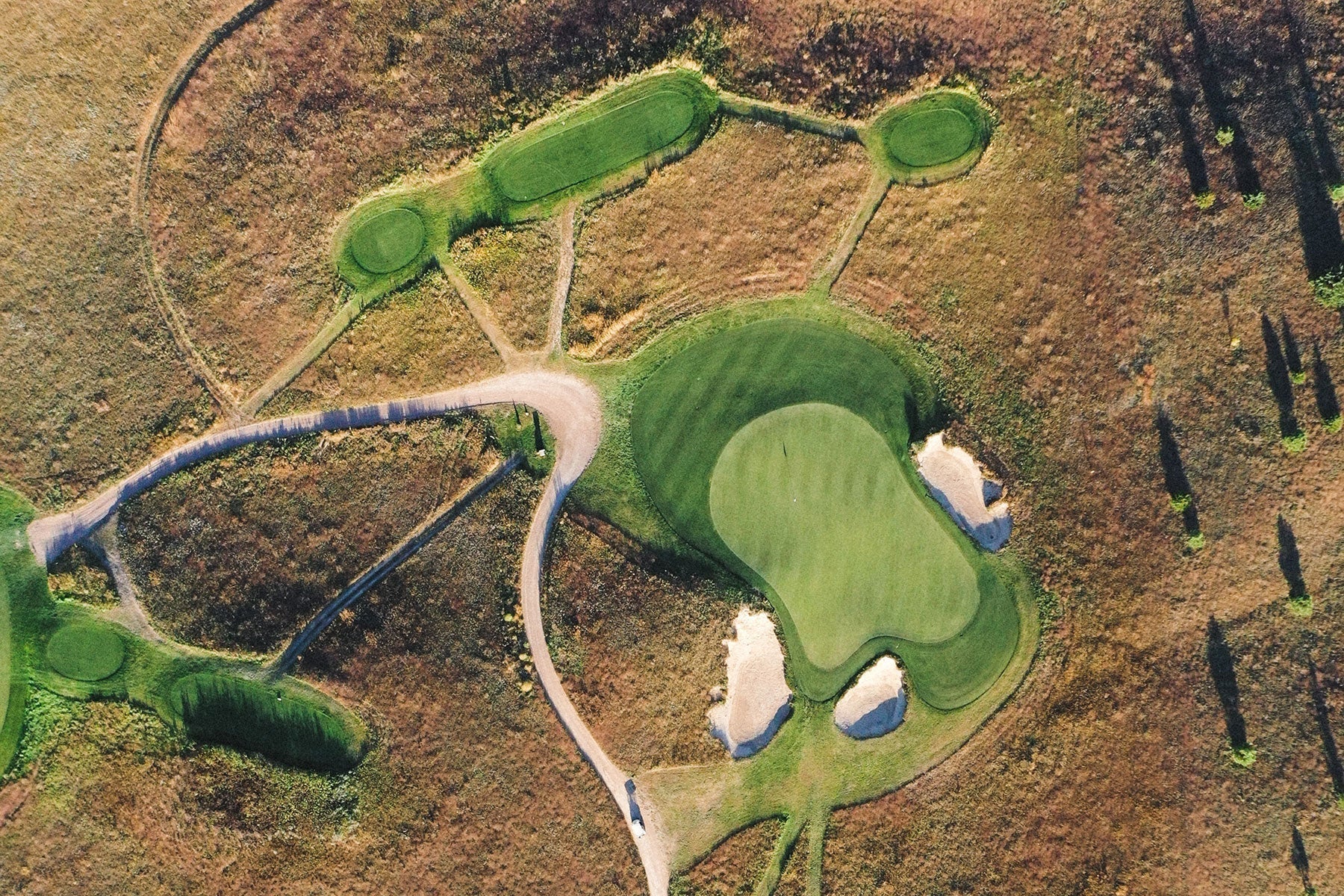 Sugarloaf Social Club | Reigning Champ US