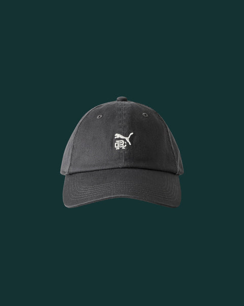 PUMA x Reigning Champ Unstructured Cap | Reinging Champ | Reigning
