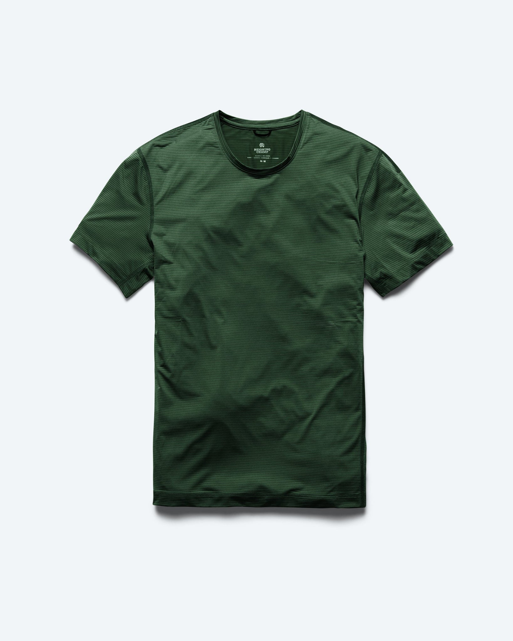 https://reigningchamp.com/cdn/shop/products/nylon-jersey-running-tshirt-british-racing-green-Front_Flat.jpg?v=1707765341&width=1920