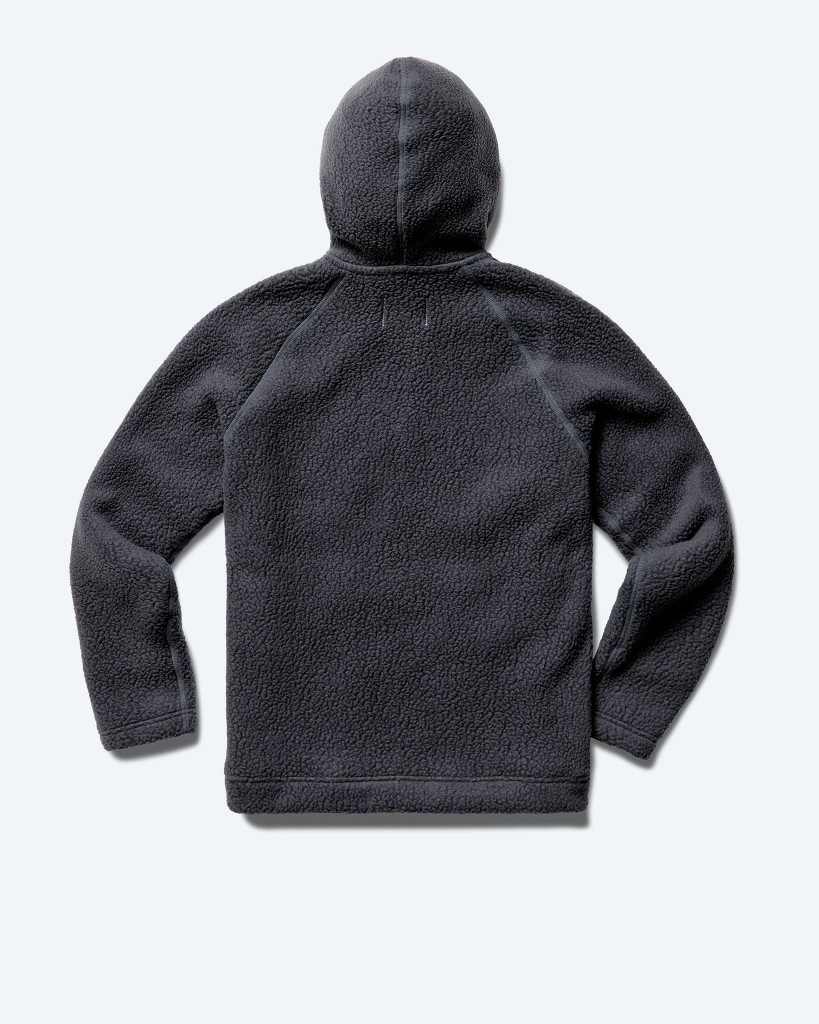 Reigning champ tiger 2025 fleece hoodie